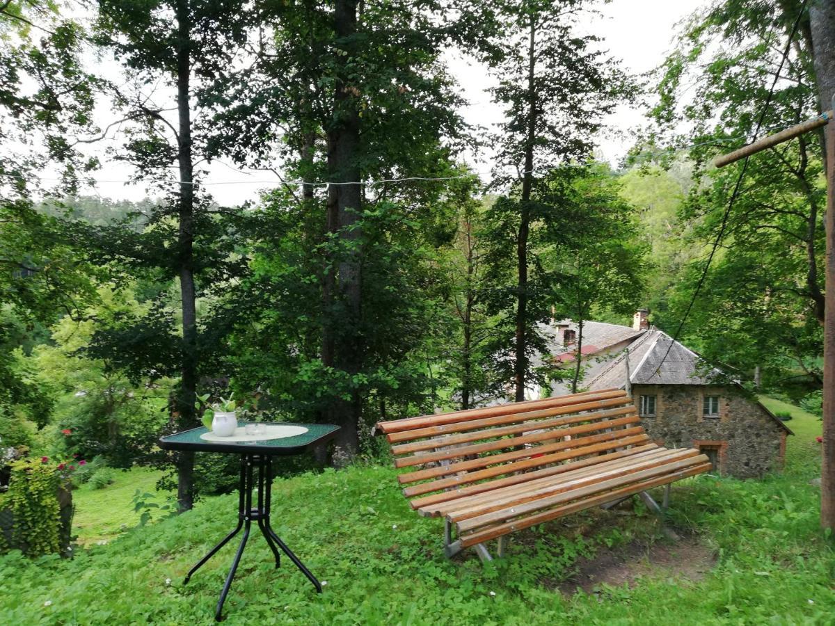 Palena Apartamenti Tērvete Exterior foto