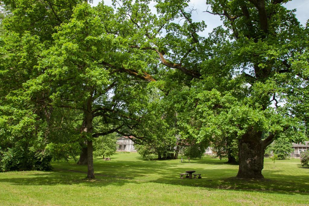 Palena Apartamenti Tērvete Exterior foto